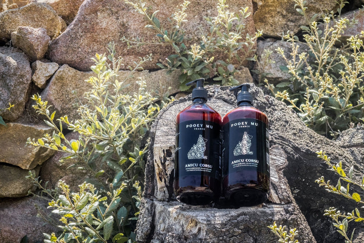 Hidden Risks in 'Natural' Pet Care: Why Preservation Matters