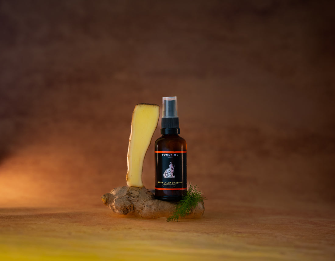 Pelle Calma Digestus : Brume Botanique Digestive