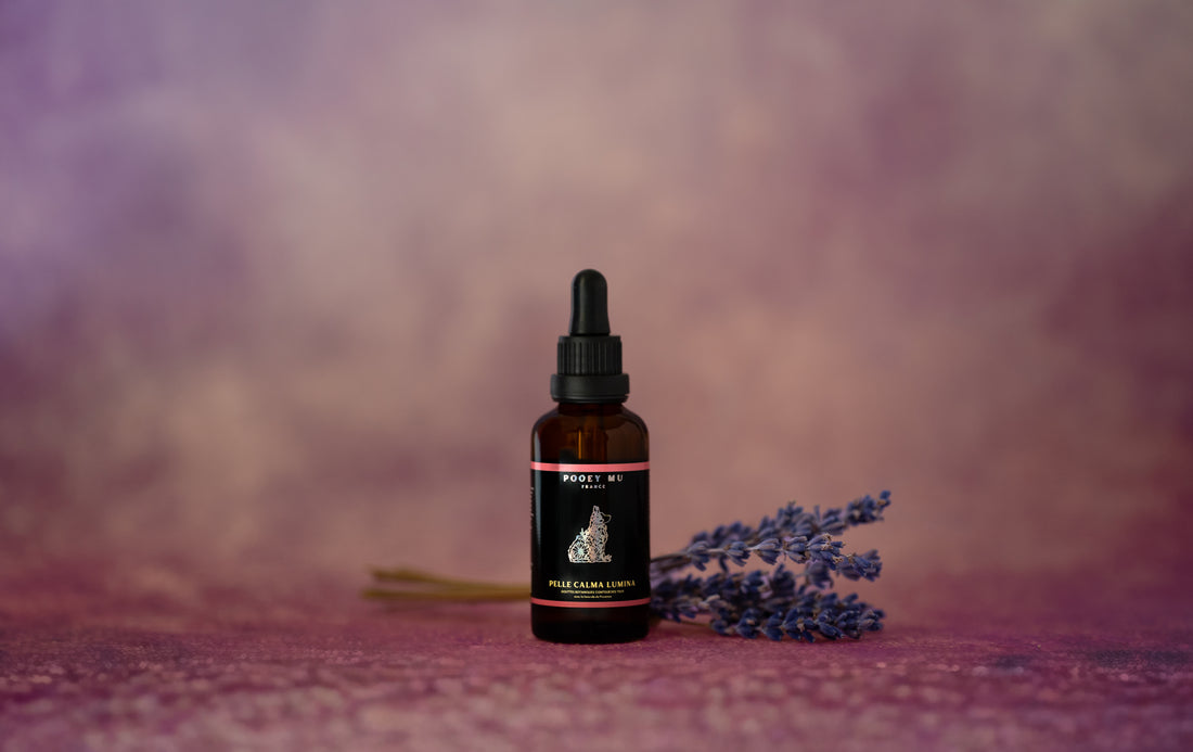 Pelle Calma Lumina: Gouttes Botaniques, Contour des Yeux